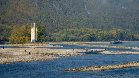 Niedrigwasser am Mäuseturm